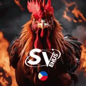 Sản phẩm SV của u9win